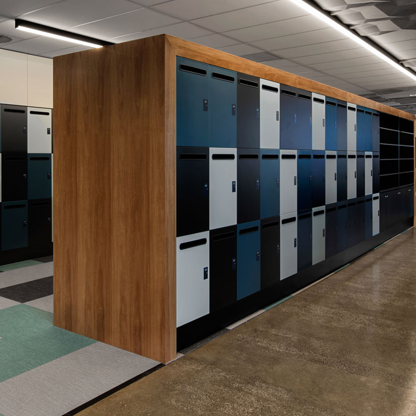 lockin eduction lockers at leo cussens centre for law